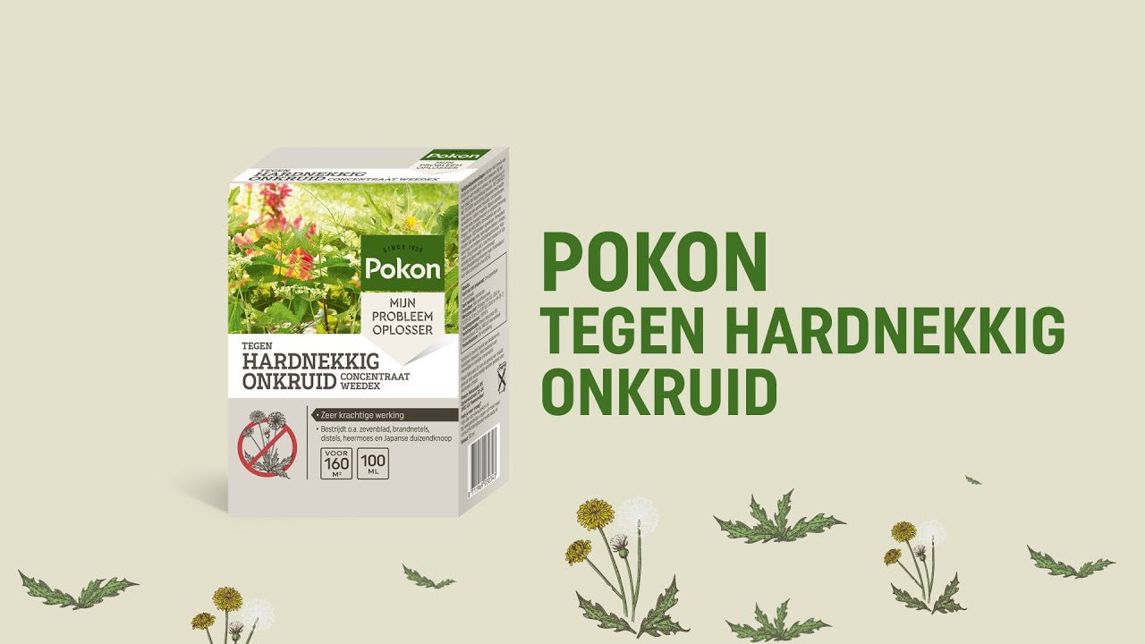Pokon contre les mauvaises herbes tenaces concentré 100ml weedex