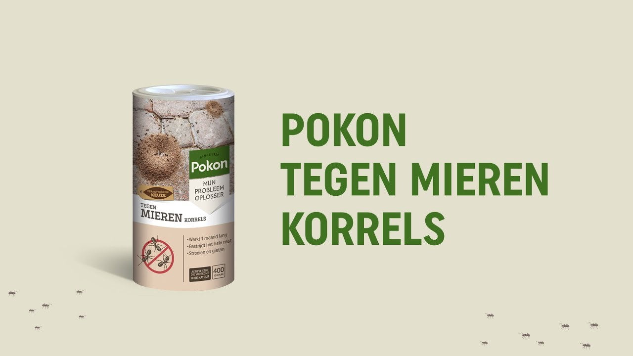 Granulés de fourmis Pokon 400gr
