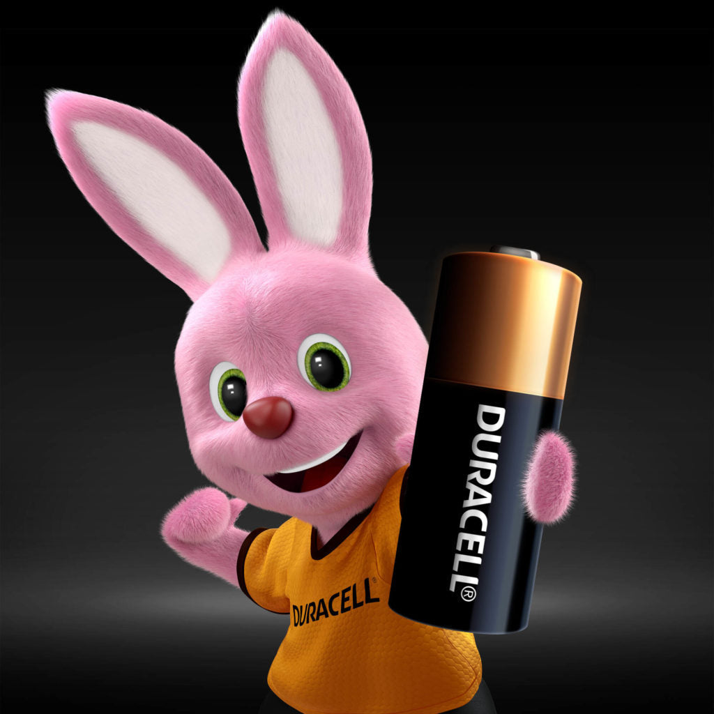 Sécurité de la batterie MN21 12V
