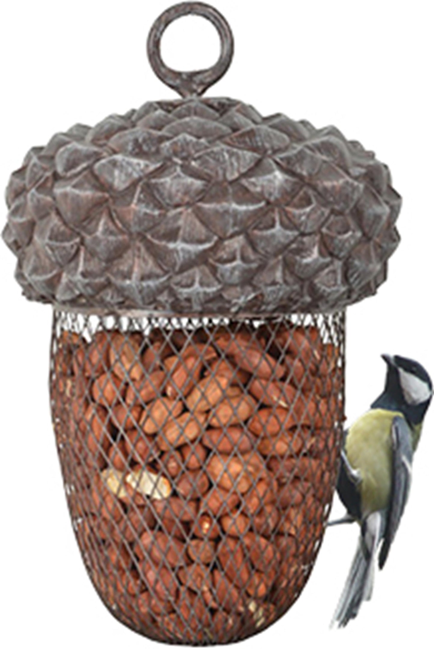 Meilleur pour les oiseaux alimenter Glans Pendant