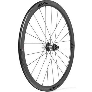 Miche Wielset re.act disque Discless Passing