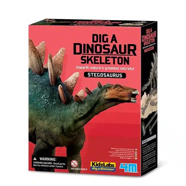 4m Kidzlabs excolant Stegosaurus