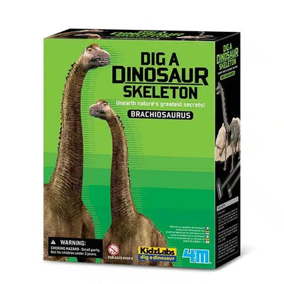 Excavation Kidzlabs 4m Brachiosaurus