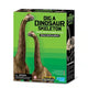 Excavation Kidzlabs 4m Brachiosaurus