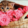 Kangaro Kangaro K-0014D118 Buro Subfunder pp 38x58cm chaton