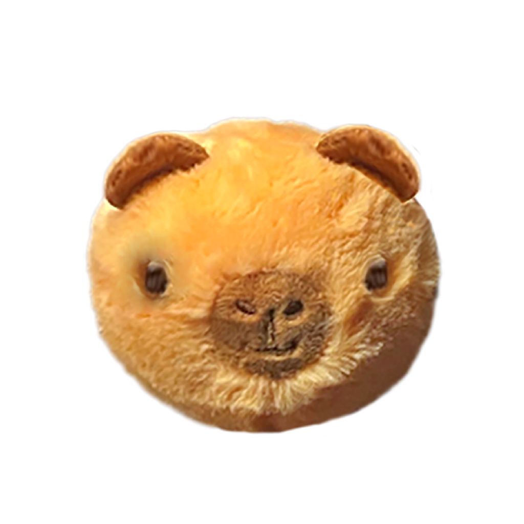 Ty beanie videurs peluche capybara barry