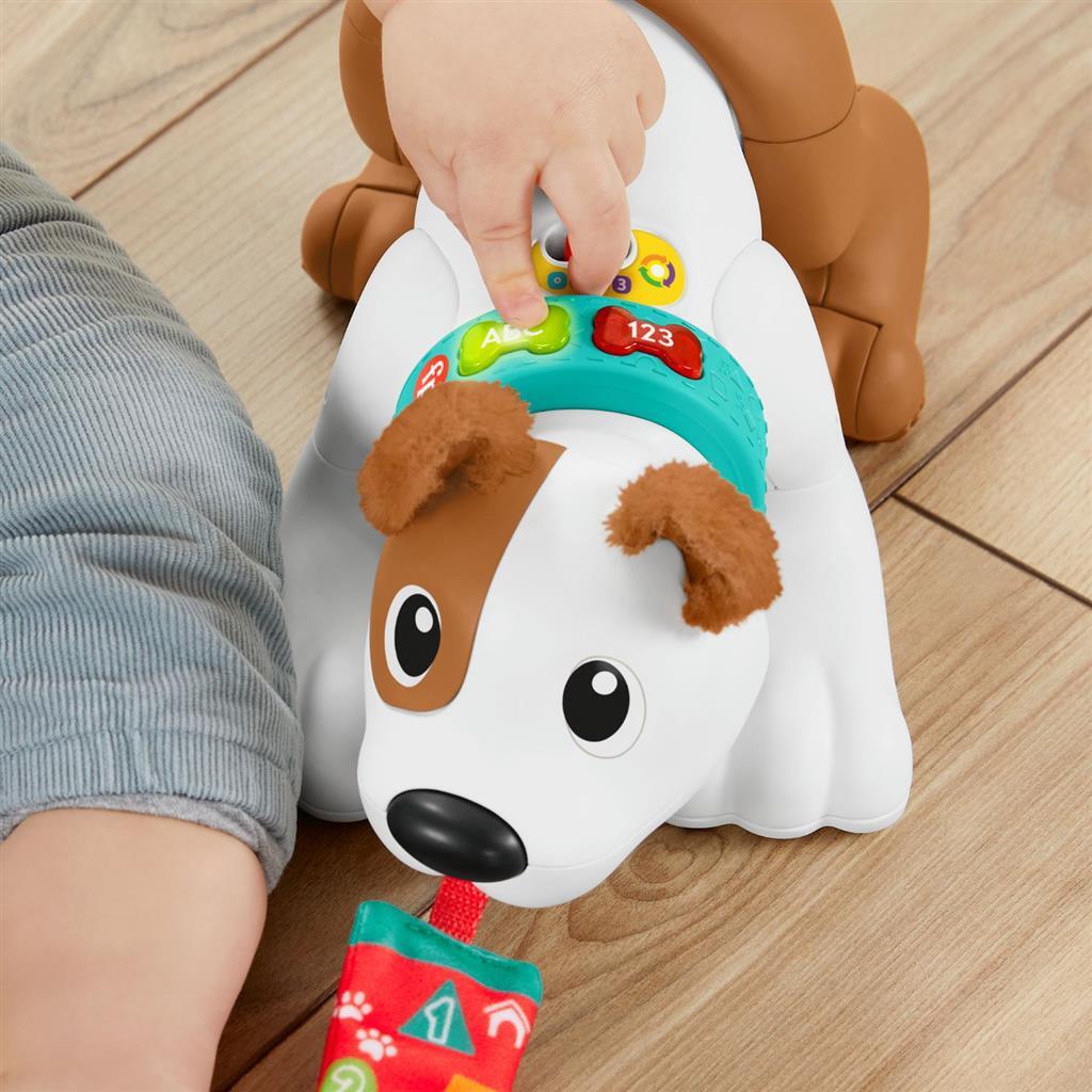 Fisher Price ramper avec moi chiot + lumière et son