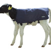 Coussin mollet easywear bleu 70cm