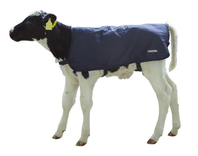 Coussin mollet easywear bleu 70cm