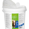 Lingettes pour pis humides 1000 pièces dans un seau