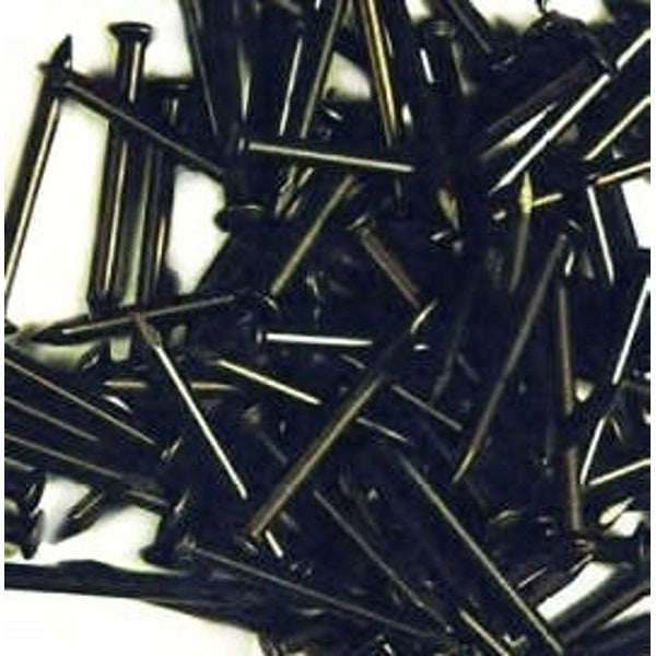 Hoenderdaal produits de fixation clous en acier a 100pcs 20x25