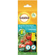 Solabiol piège à phéromones insectes végétaux 4 pcs