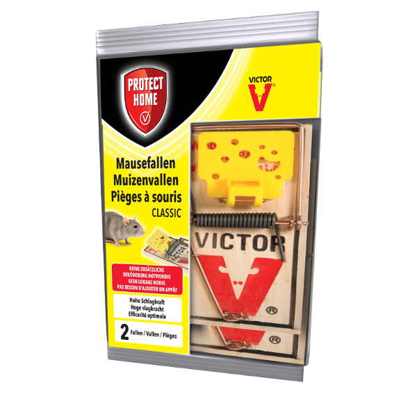 Protéger la maison Val souris bois 2e