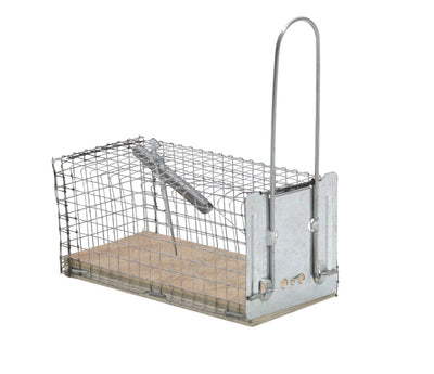 Protégez les souris en cage de piège à domicile