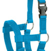 Licol alpaga bleu 2