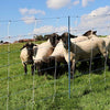 Ako products mouton nettitan premium vario 122 cm x 50m double enclos 1