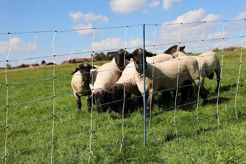 Ako products mouton nettitan premium vario 122 cm x 50m double enclos 1