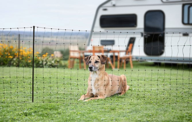Ako filet de camping 20 mètres 80cm vert double épingle