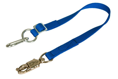 Ceinture de laisse réglable en continu