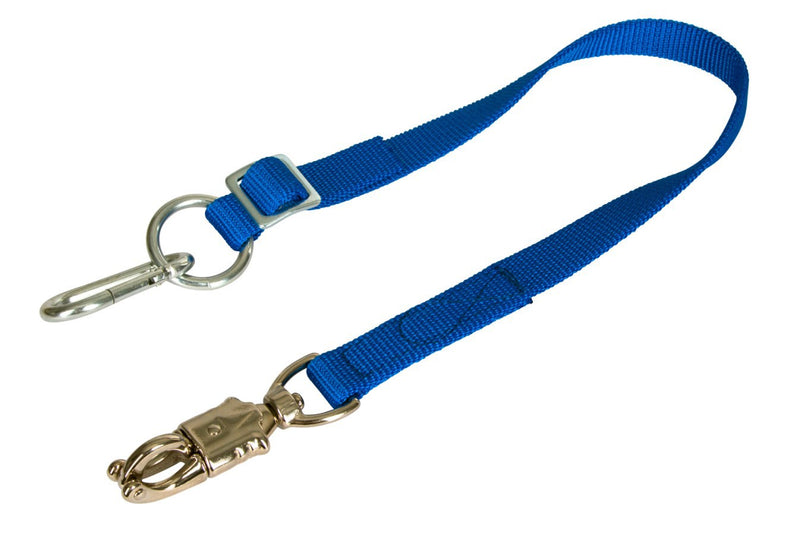 Ceinture de laisse réglable en continu
