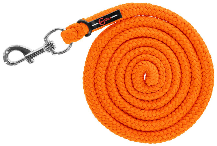 Ligne de livraison avec mousqueton hippopotame pe orange