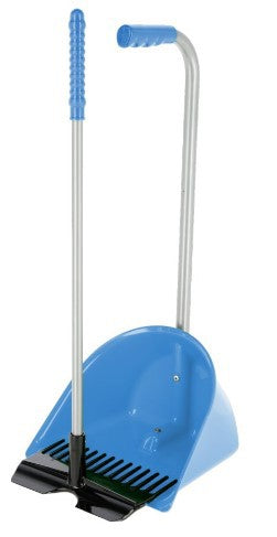 Mestboy mini bleu royal 60 cm complet