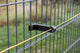 Isolant Ako pour clôture à double fil 10 pcs