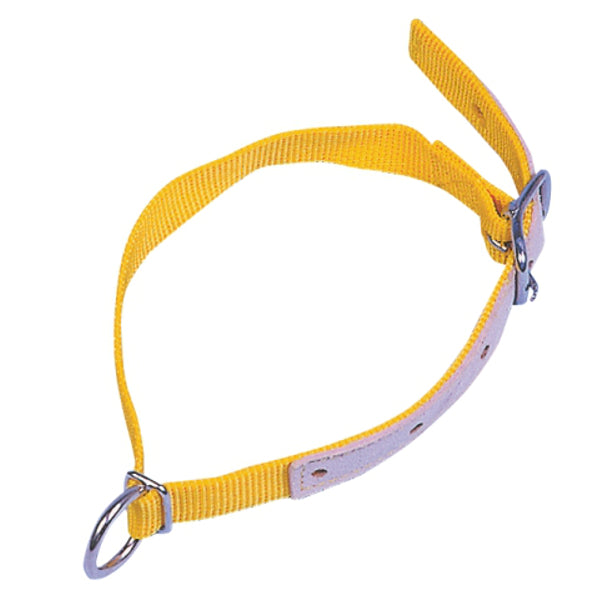 Sangle de cou en nylon pour chèvre et mouton