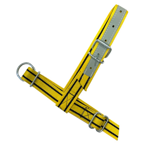 Licol d'inspection jaune veau noir no3