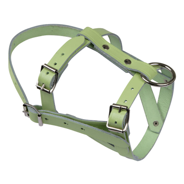 Licol en cuir de chèvre et de mouton