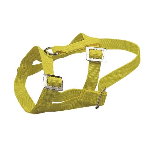 Licol en nylon pour chèvre et mouton
