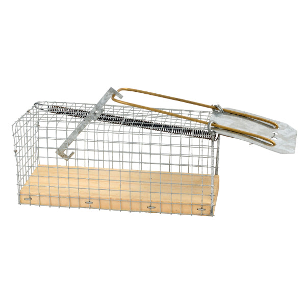Produits Ngk à partir de fond en bois de souris