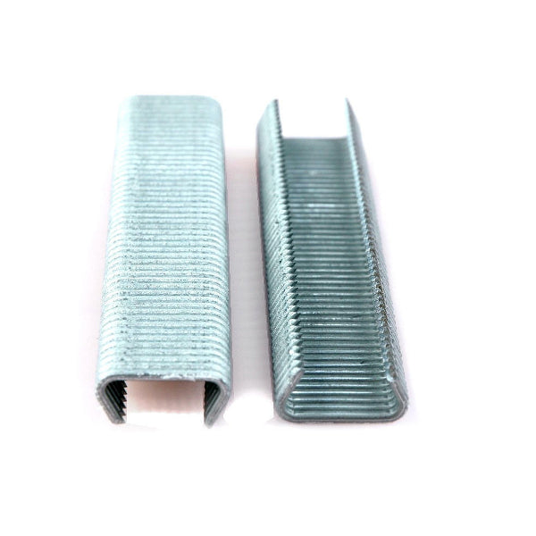 Agrafes en maille Giardino galvanisées 20mm 1000pcs