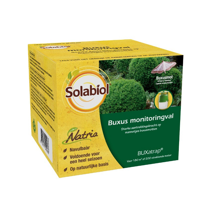 SBM Life Science Solabiol Buxatrap Buxus Surveillance Trap