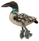 Canard jouet pour chien