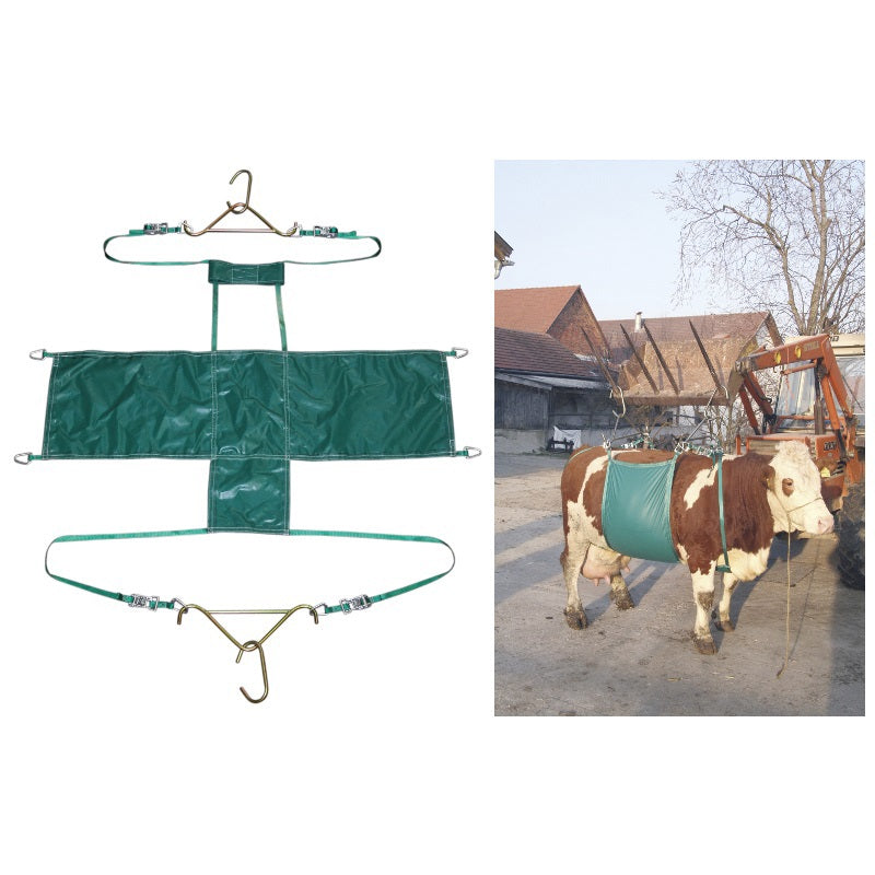 Élévateur à marguerite complet pour vaches