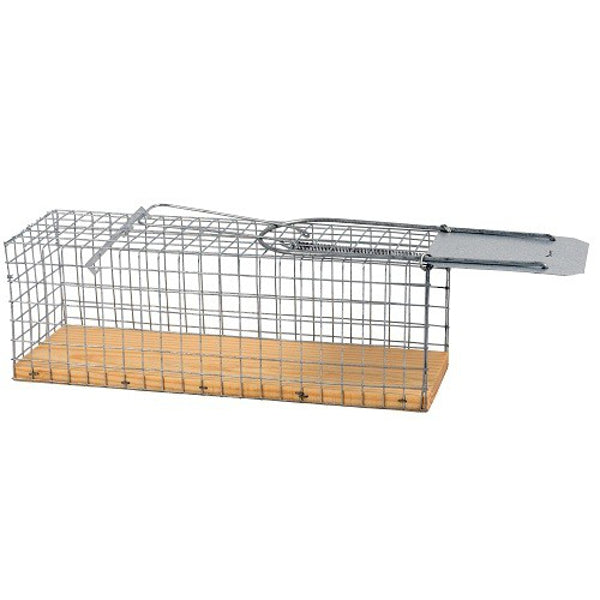 Produits NGK fabriqués à partir d'un fond en bois de rat