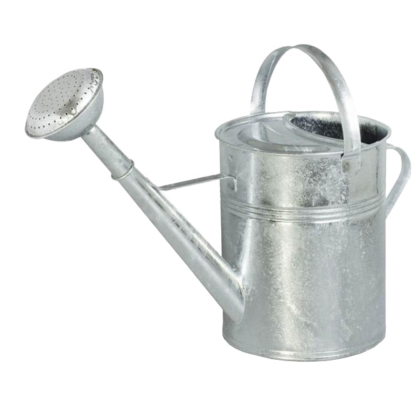 Produits arrosoir galvanisé avec pulvérisateur 9l