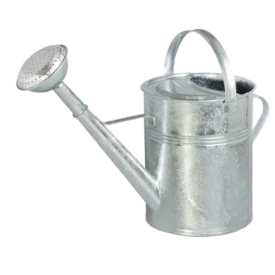 Produits arrosoir galvanisé avec pulvérisateur 9l