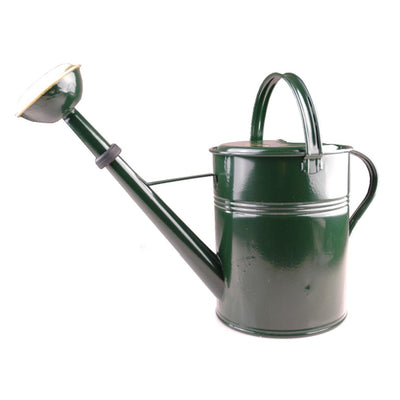 Arrosoir pulvérisateur en laiton laqué vert 9l