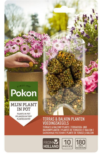 Pokon terrasse balcon plantes nutrition cônes longs 10 pcs