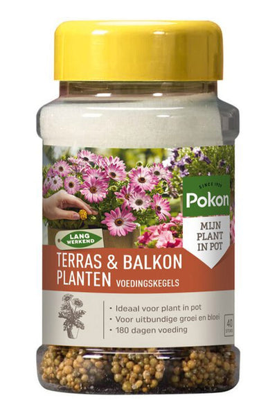 Pokon terrasse balcon plantes nutrition cônes longs 40 pcs