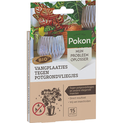 Pokon bio pièges collants contre les mouches du terreau 15 pcs