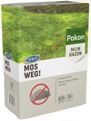 Pokon mousse 875gr pour 25m2
