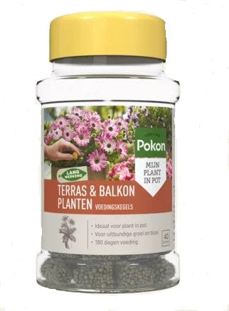 Pokon terrasse plantes de balcon cônes d'alimentation 40 pcs