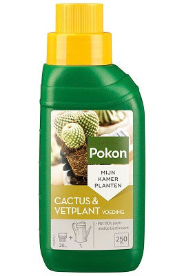 Pokon bio aliment pour plantes succulentes cactus 250ml