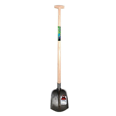 Mm eurotool products chauves-souris ruhr brillant 000 85cm