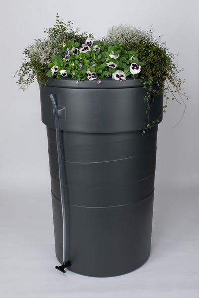 Jardinière de jardin en baril de pluie 230l