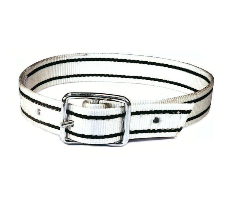 Produits collier pour truie nylon 165cm boucle ardillon