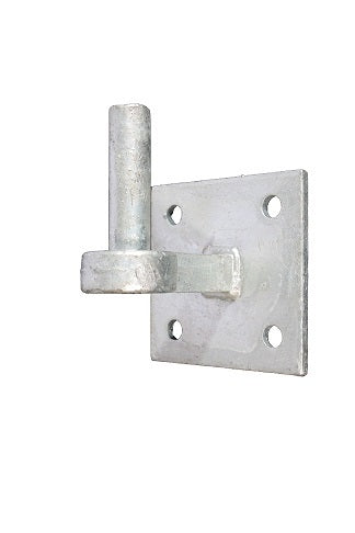 Waelbers pouce rond 19mm sur plaque 10x10 fv